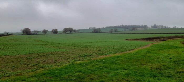 Fields on a dark and grey day