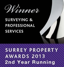 Surveying & Professional 02