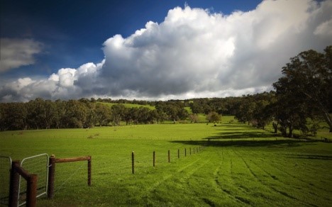 Surrey Hills Case Study
